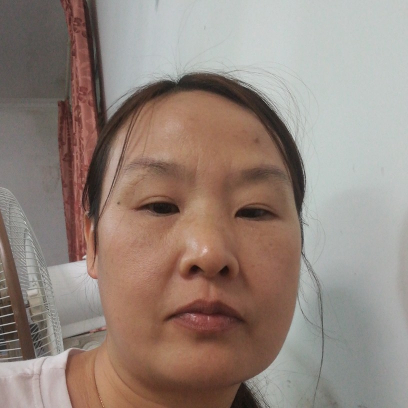 刺猬紫檀的照片