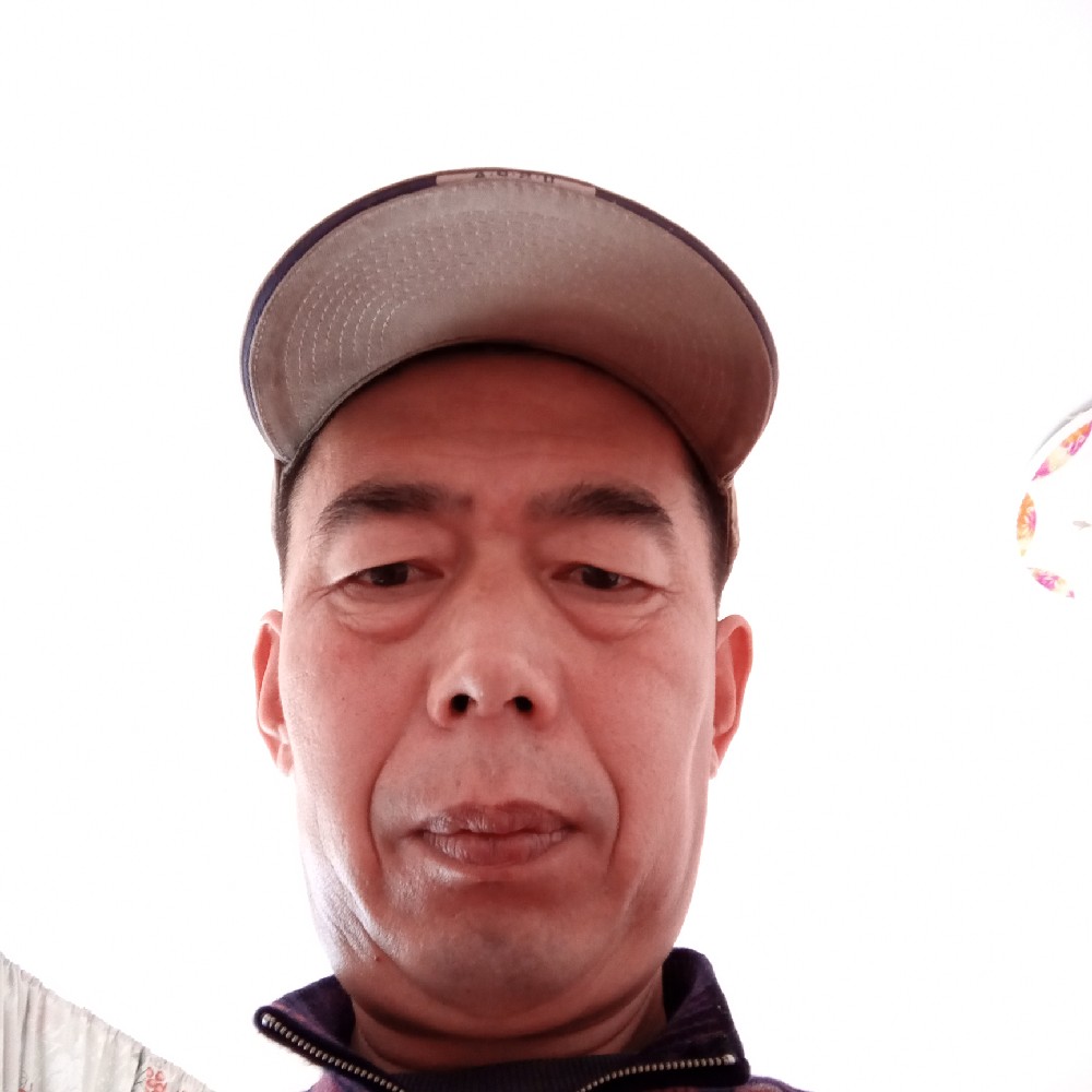 结实愿鸵鸟的照片