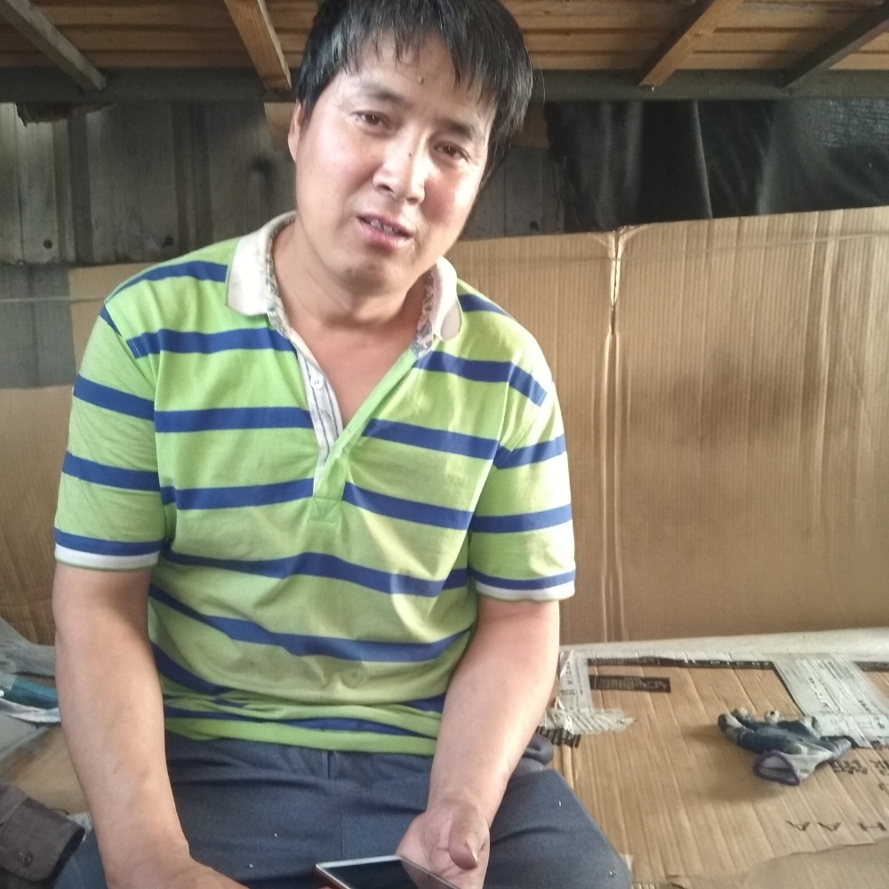 八宝粥野性的照片