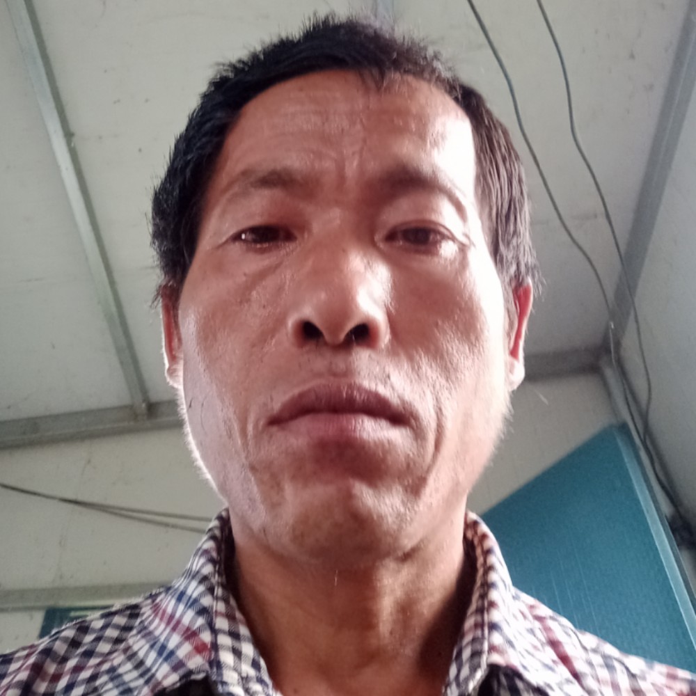 放飞翔鸟的照片