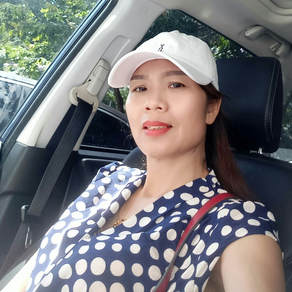 小蚂蚁演变正直的照片