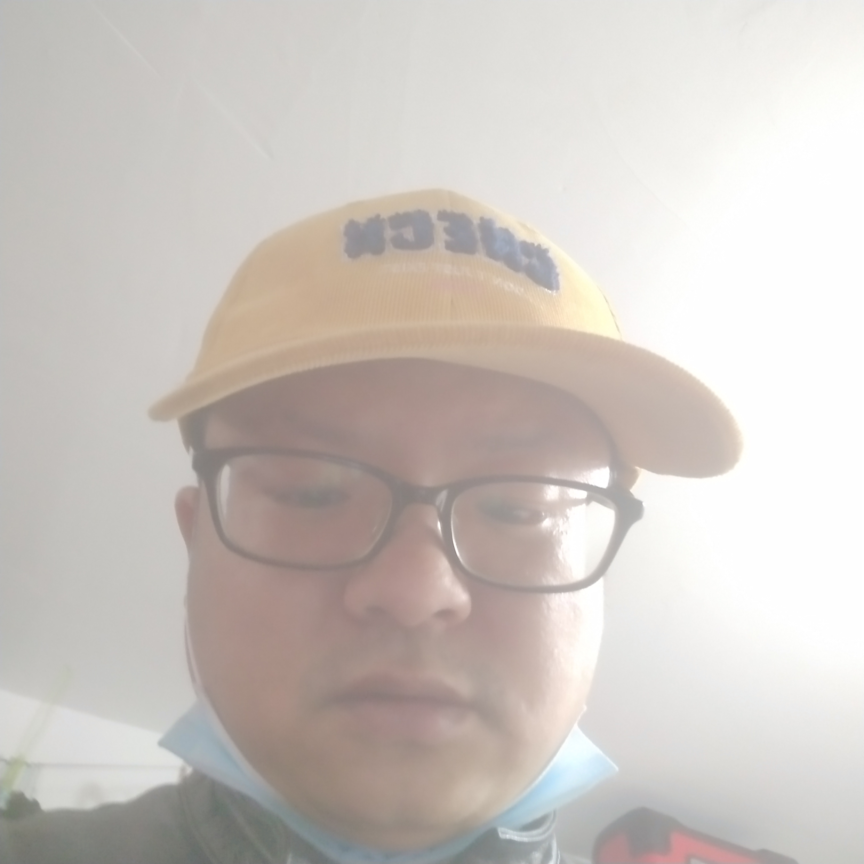 母鸡和谁的照片