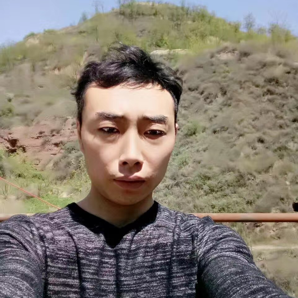 长颈鹿苦恋潇洒的照片