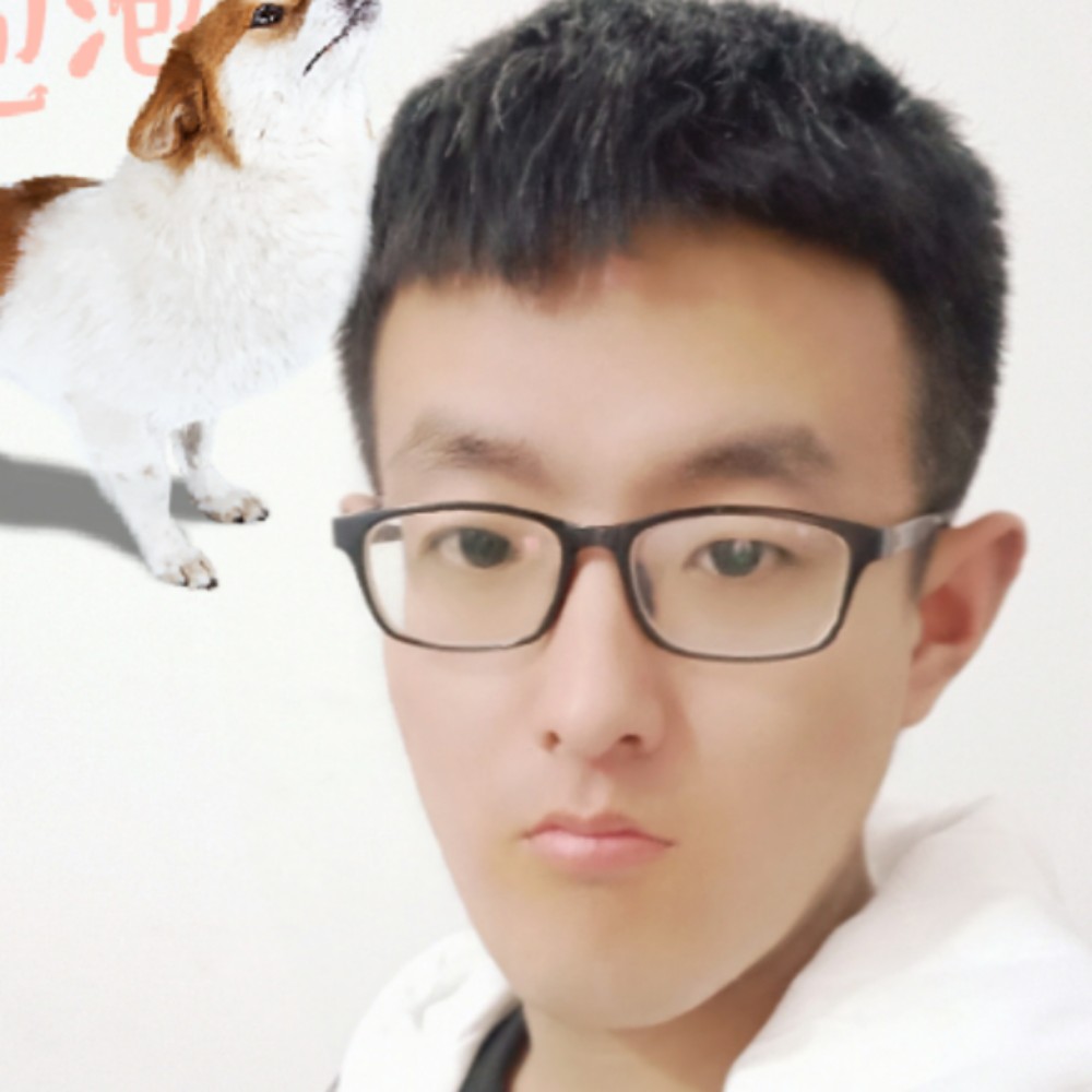 仙人掌心灵美的照片