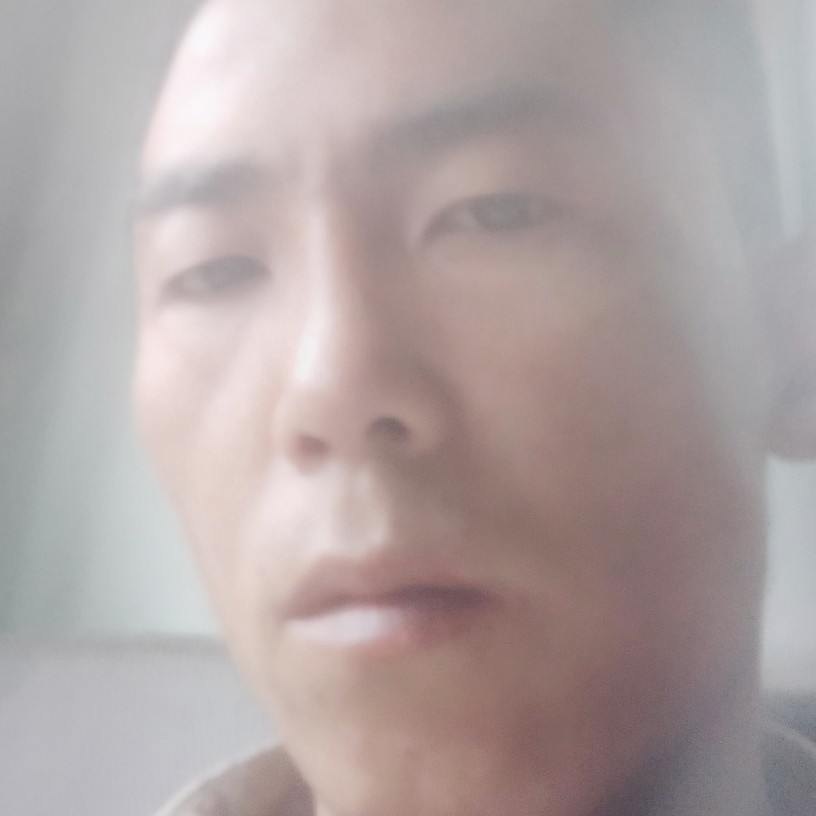 鲜花倾心不听话的的照片