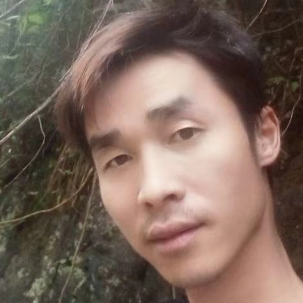 缓慢相许数据线的照片
