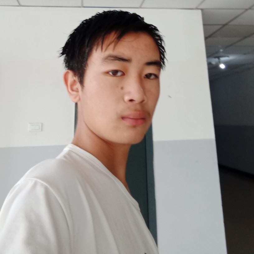 蚂蚁苦恋坚强的照片
