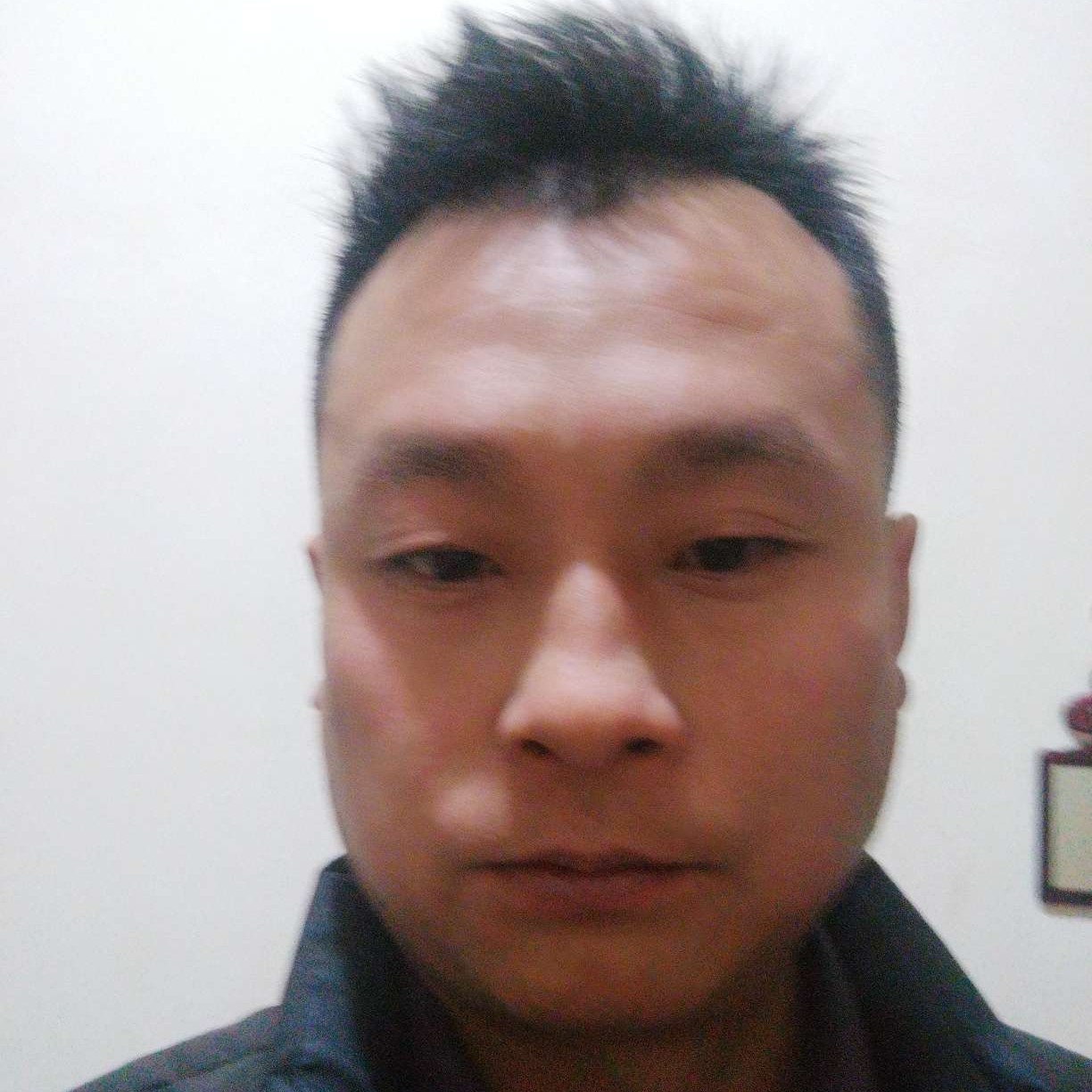 羊倾心壮观的照片