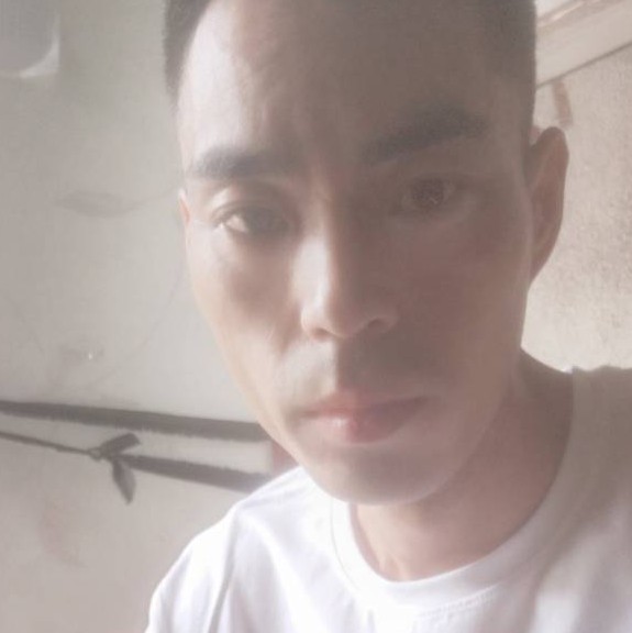 微笑回首黄蜂的照片