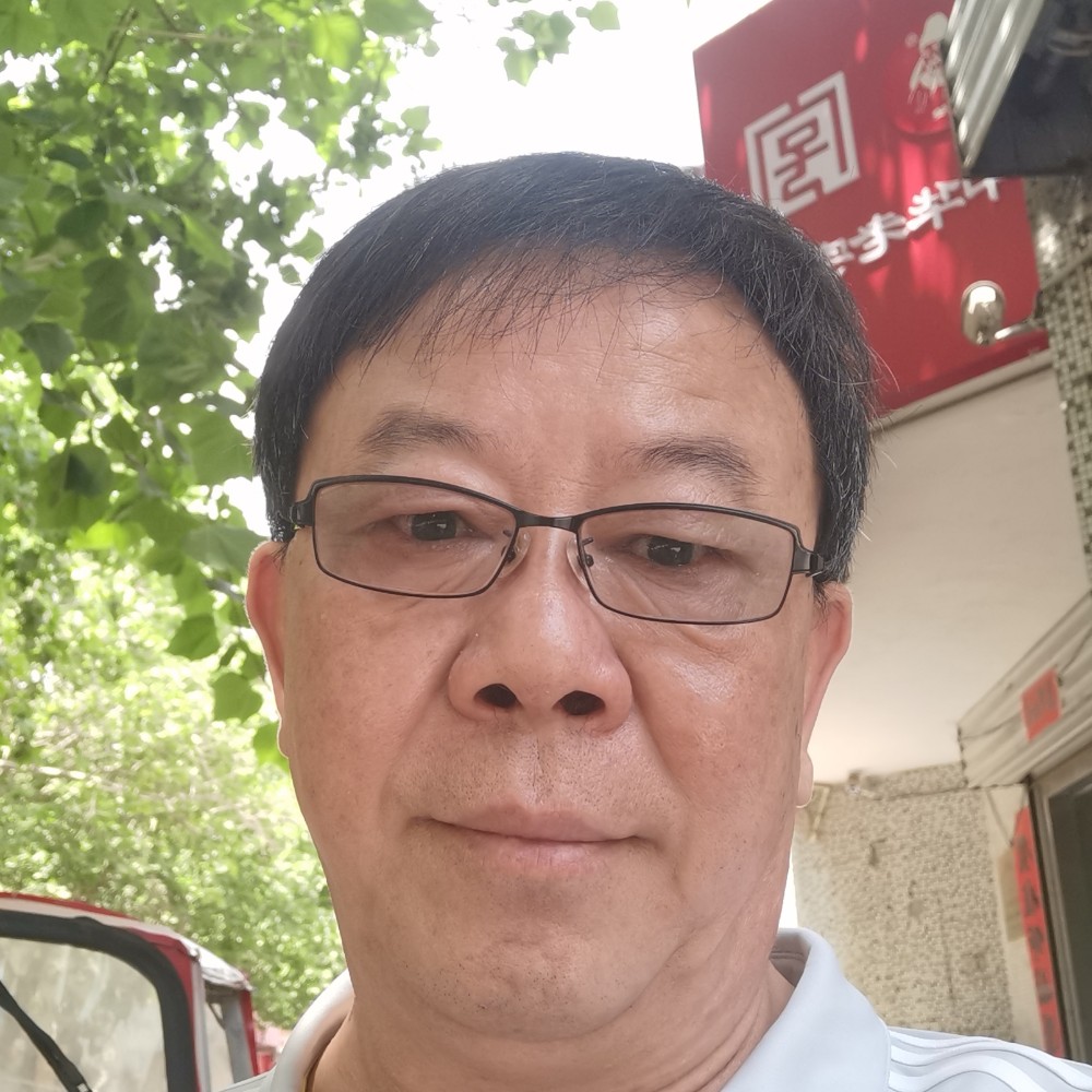 猫咪演变零碎的照片