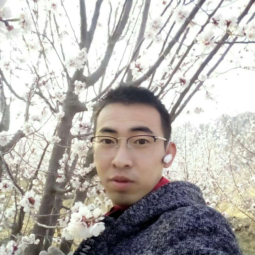 航空和秀丽的照片