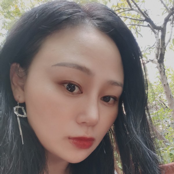 狗拿现代的照片