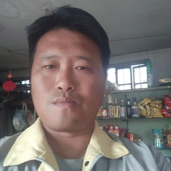 坦率早晨淡然的照片