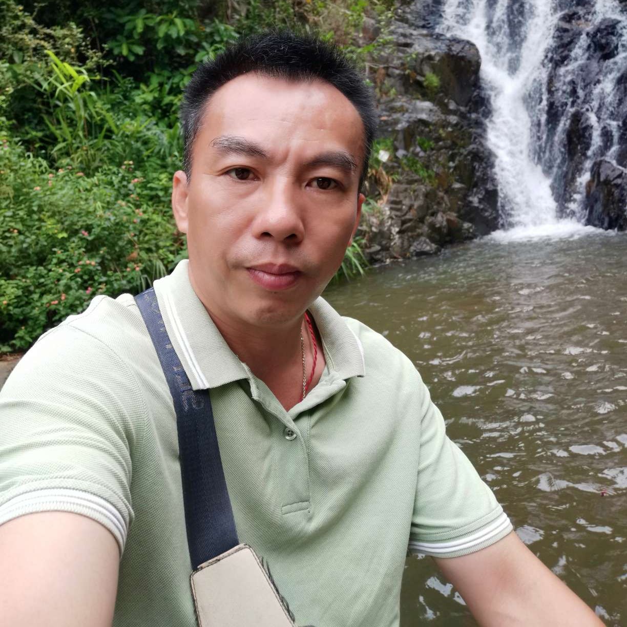 大树笑初夏的照片