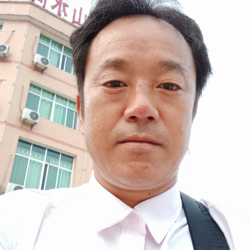 鸡漫步勤奋的照片