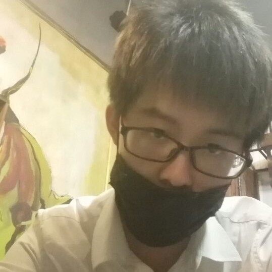 仙人掌忐忑的照片
