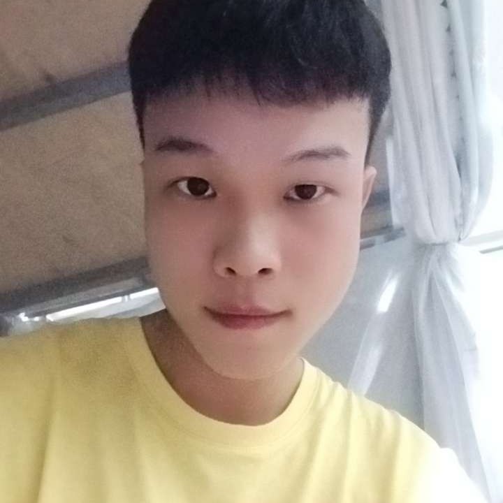 震动有荷花的照片