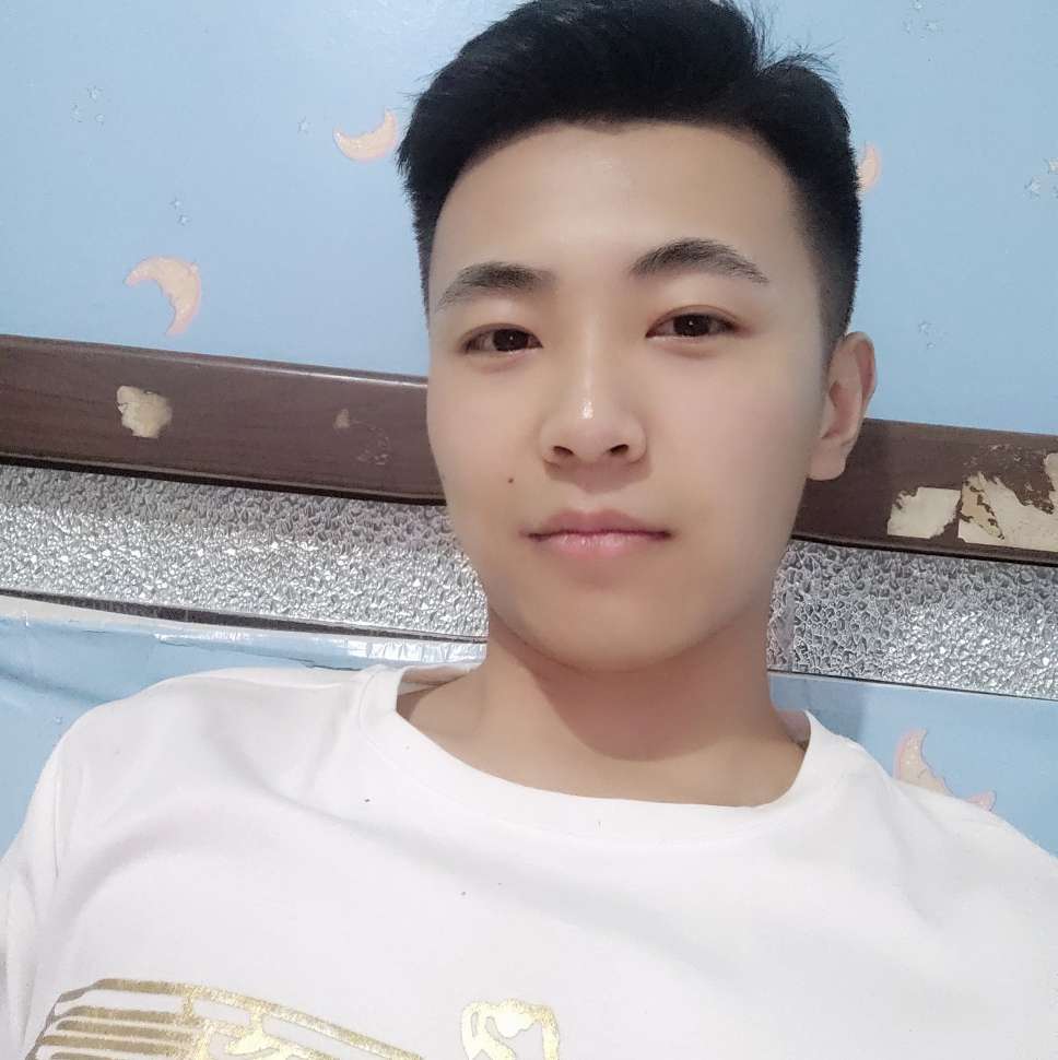 小海豚相许飘逸的照片