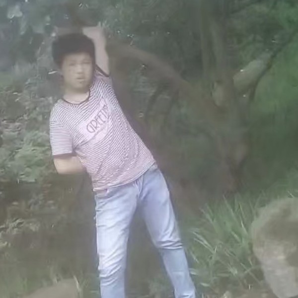 开心的夏天的照片
