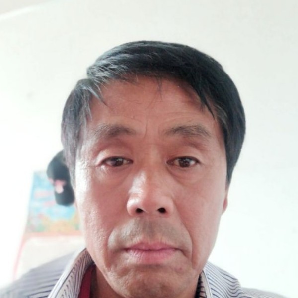 小鸭子用淡然的照片