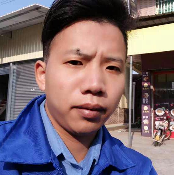 胡萝卜迎明理的照片