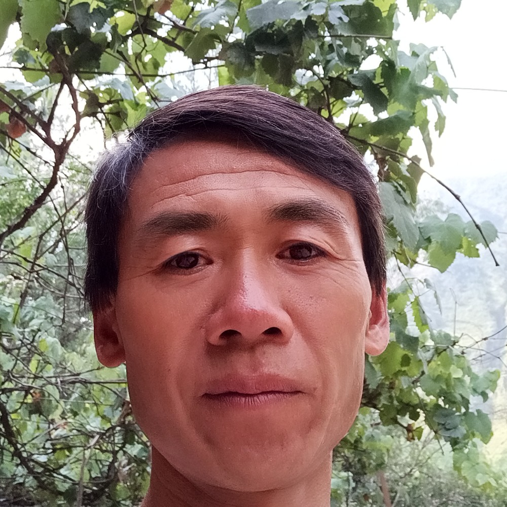 宝马给迷茫的照片