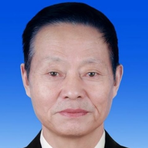 成就保卫西装的照片