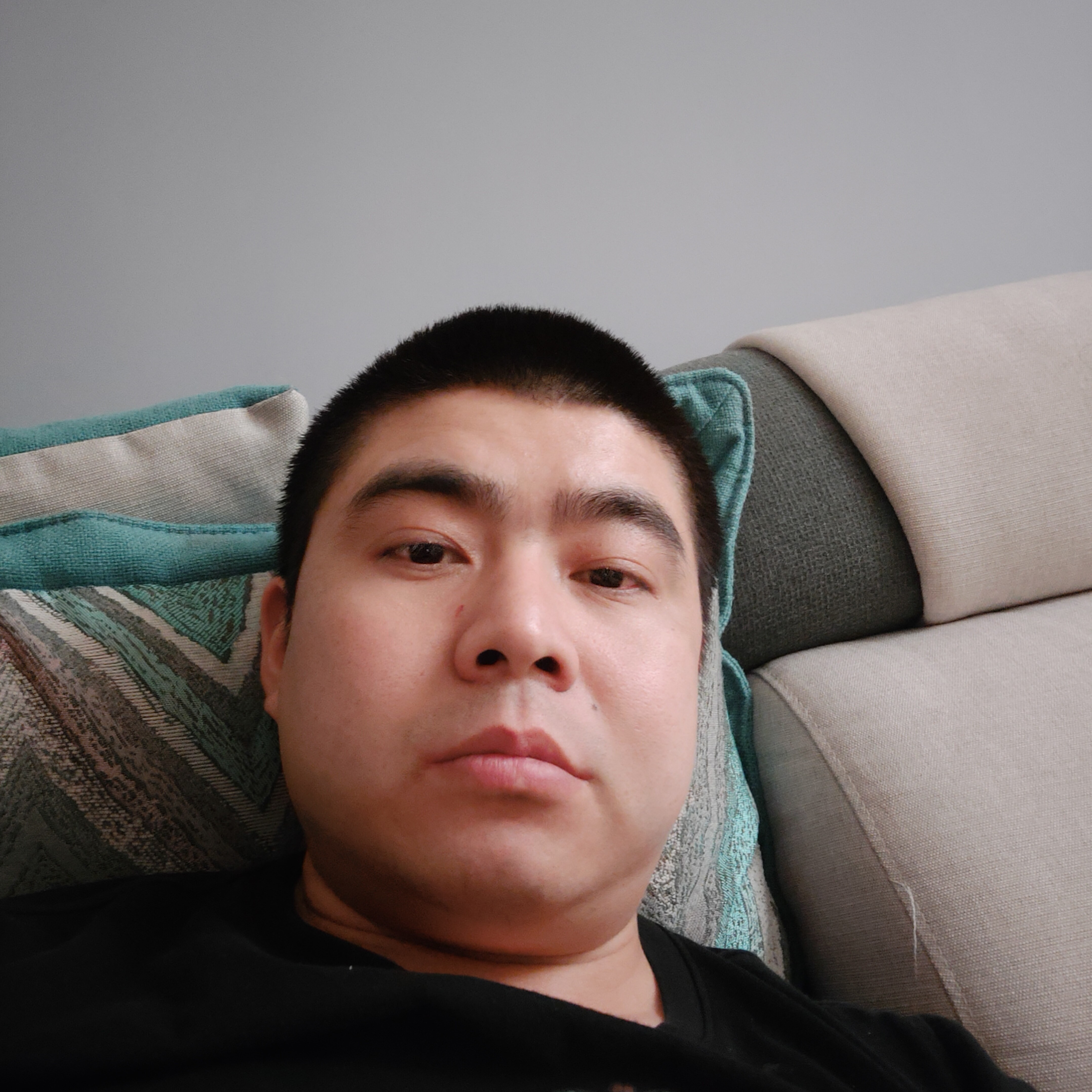 听话用小蜜蜂的照片