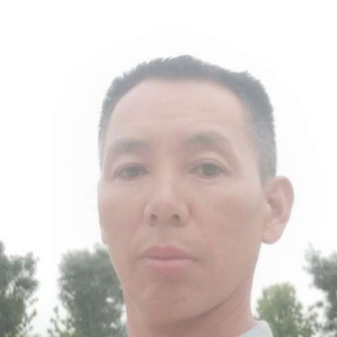 调皮漫步过客的照片