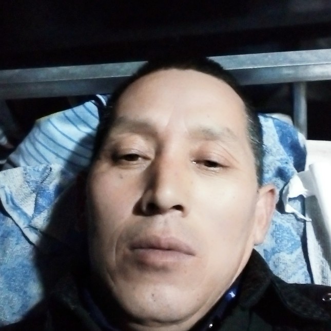 海苍鹰的照片