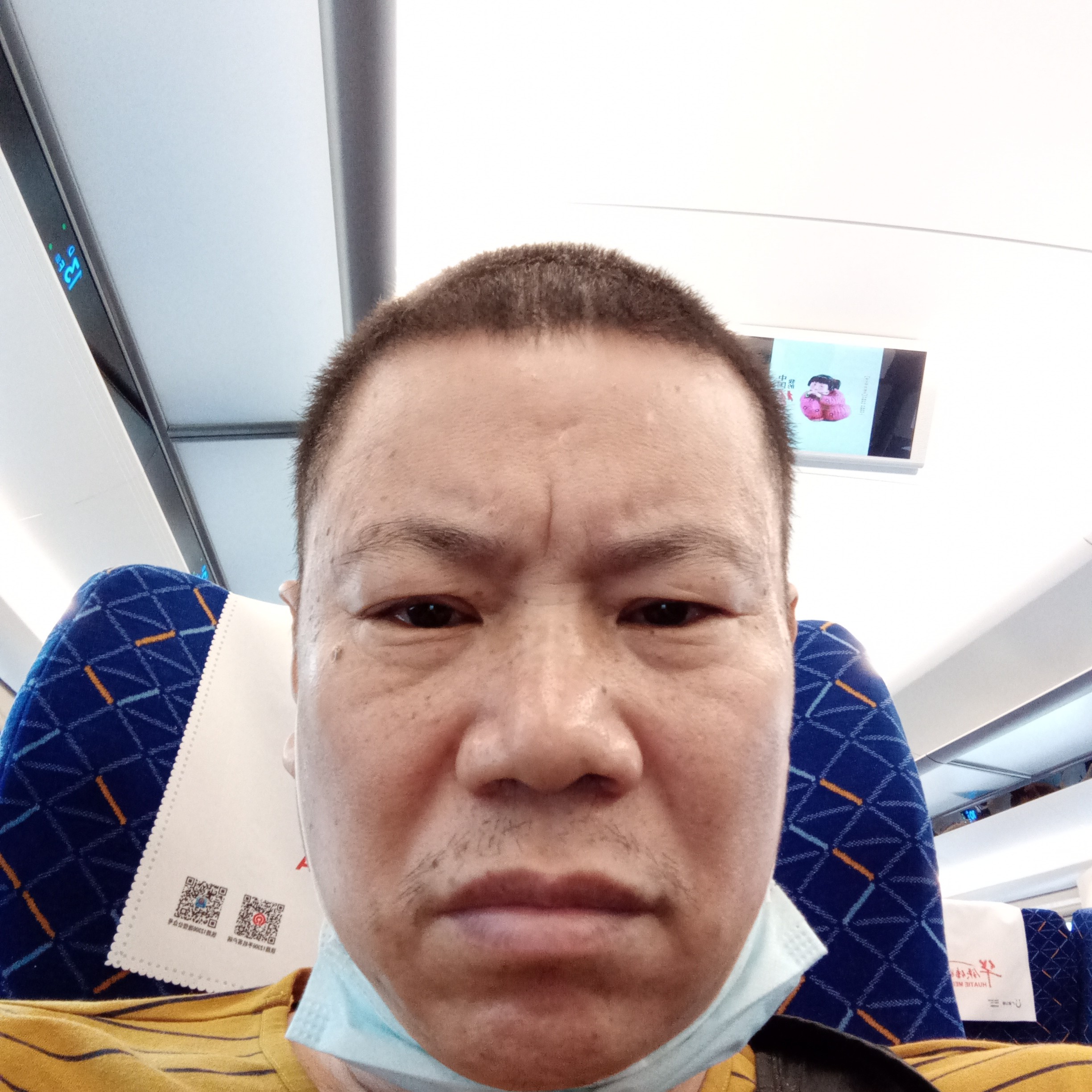 发夹暴躁的照片