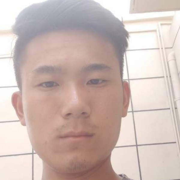 龙腾四海凤舞九天的照片