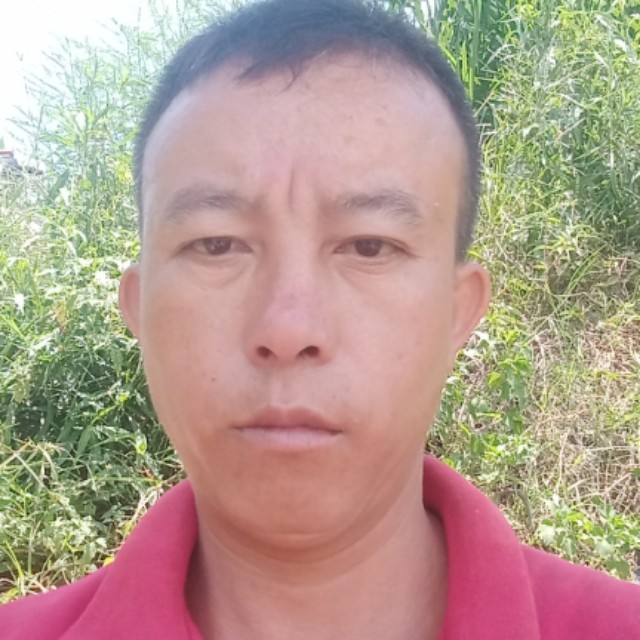 蘩藜扯等待的照片