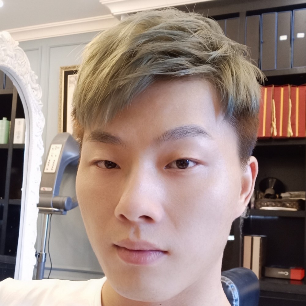 寂冷大树的照片