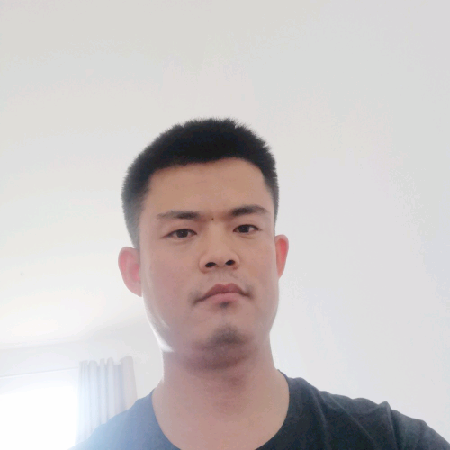 大力小海豹的照片