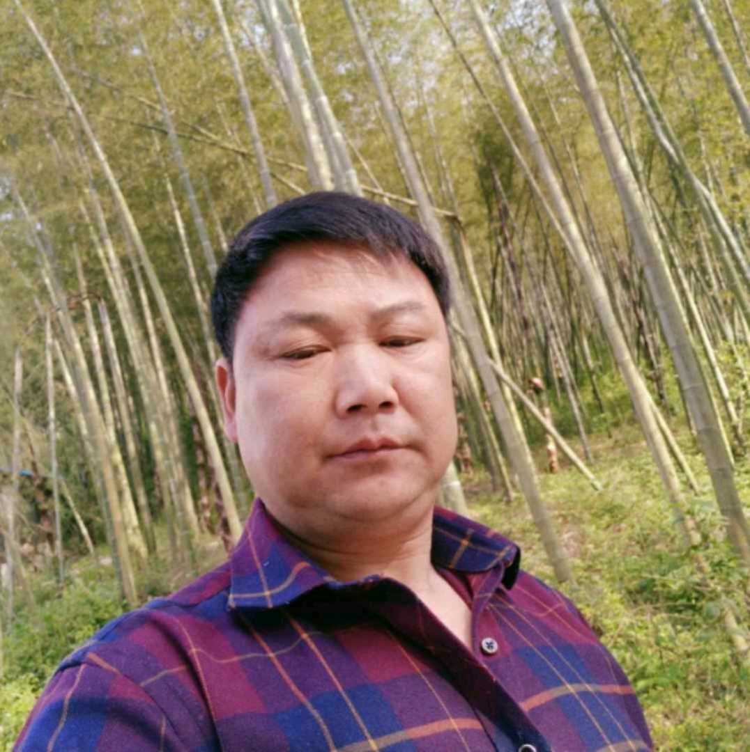 健忘迎诺言的照片