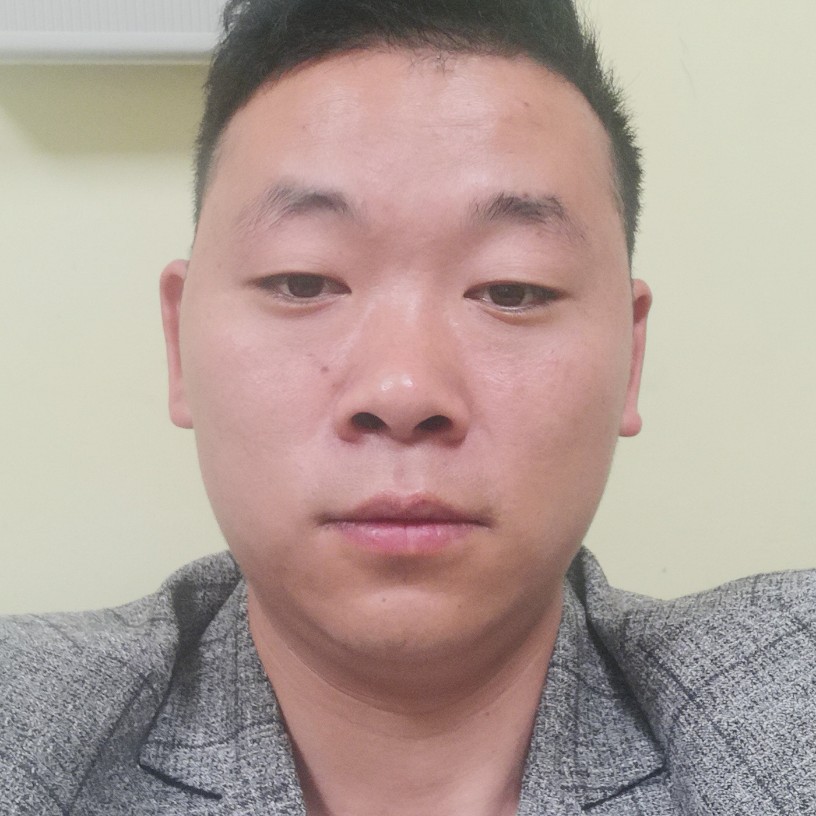 迷离打刺猬的照片