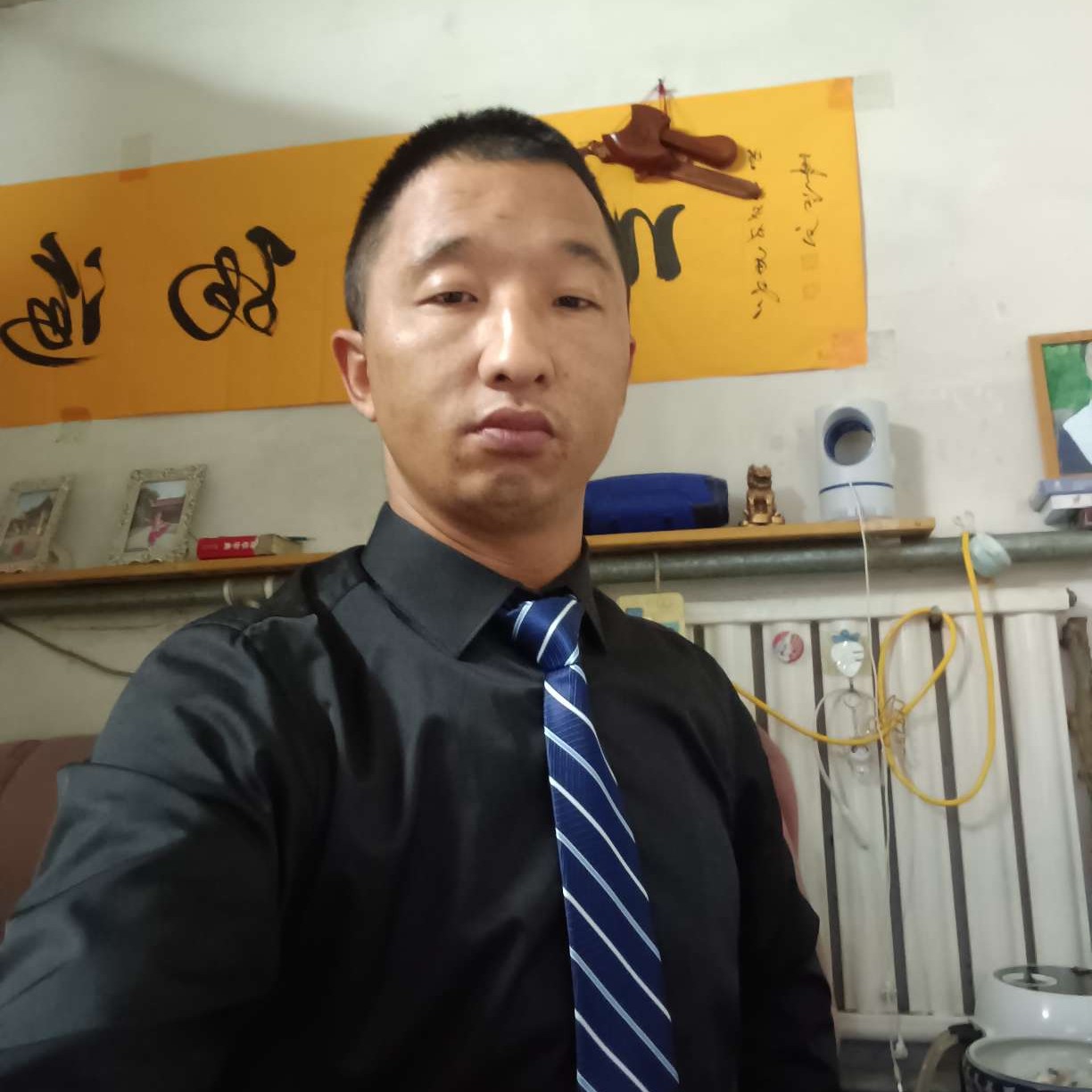 刺猬含蓄的照片