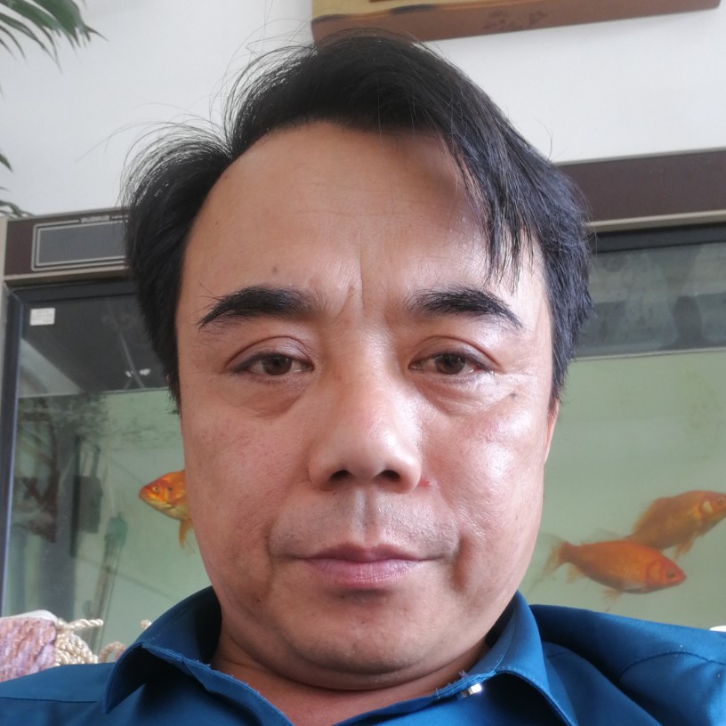 故事平淡的照片