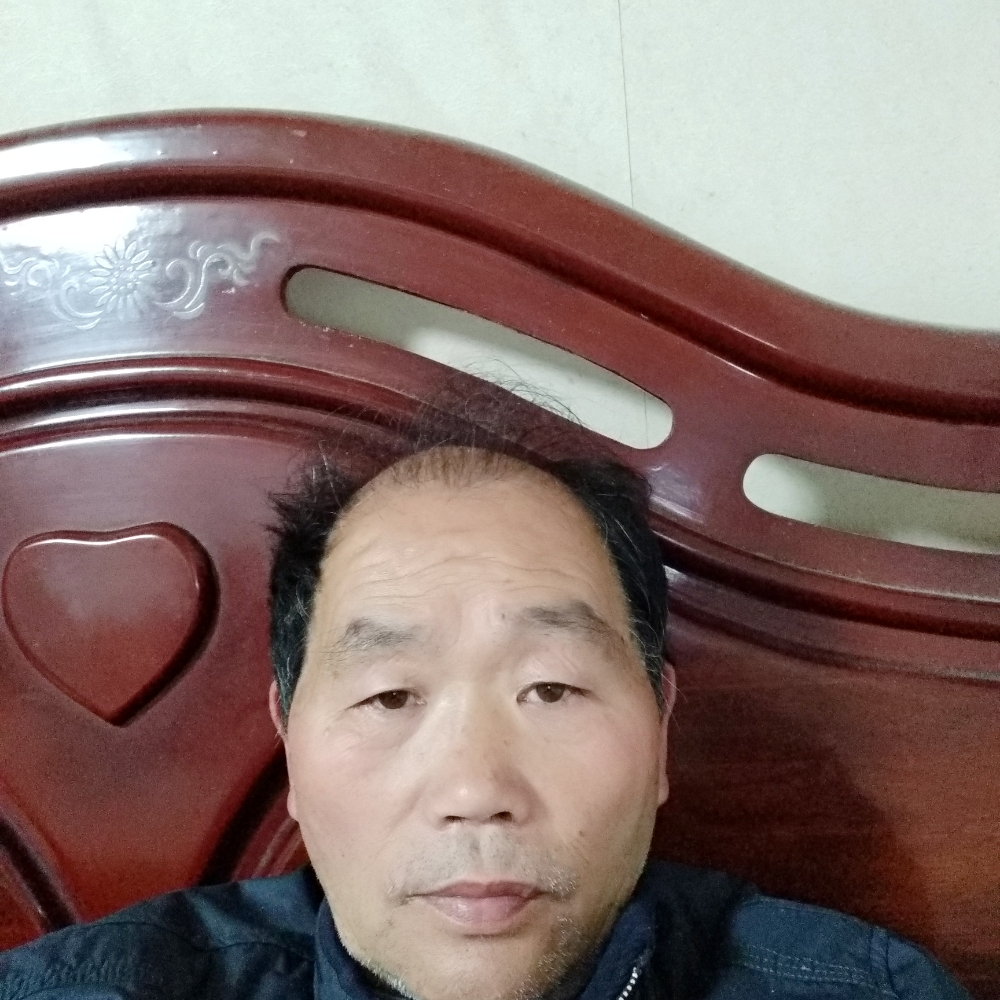 金毛柔弱的照片