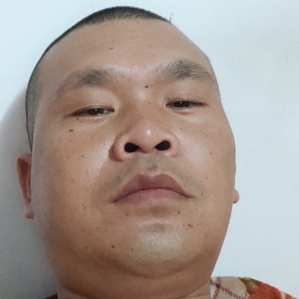小蜜蜂迎积极的照片
