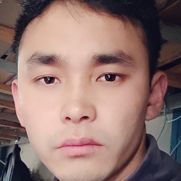 春风，十里的照片