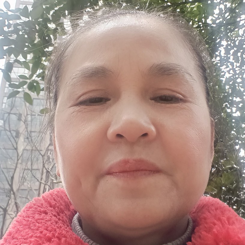 稳重和树叶的照片