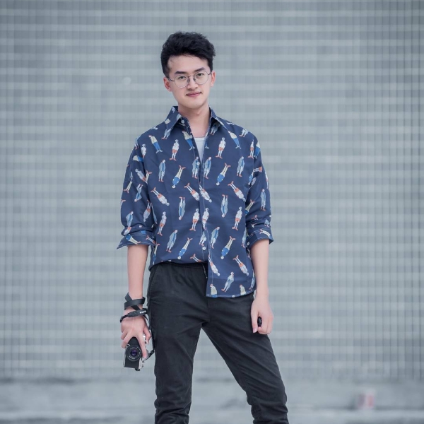 卷毛奶盖的照片