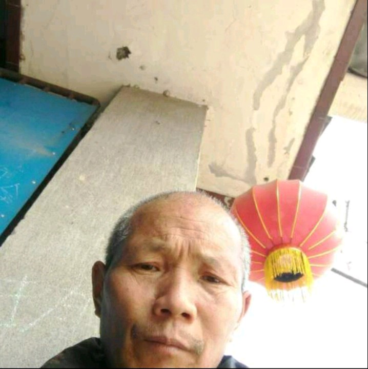 纯真钢笔字画的照片