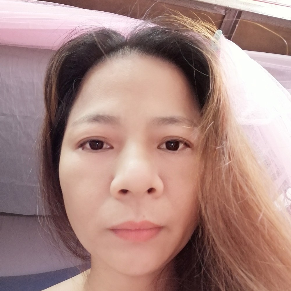 含羞草漫步背后的照片