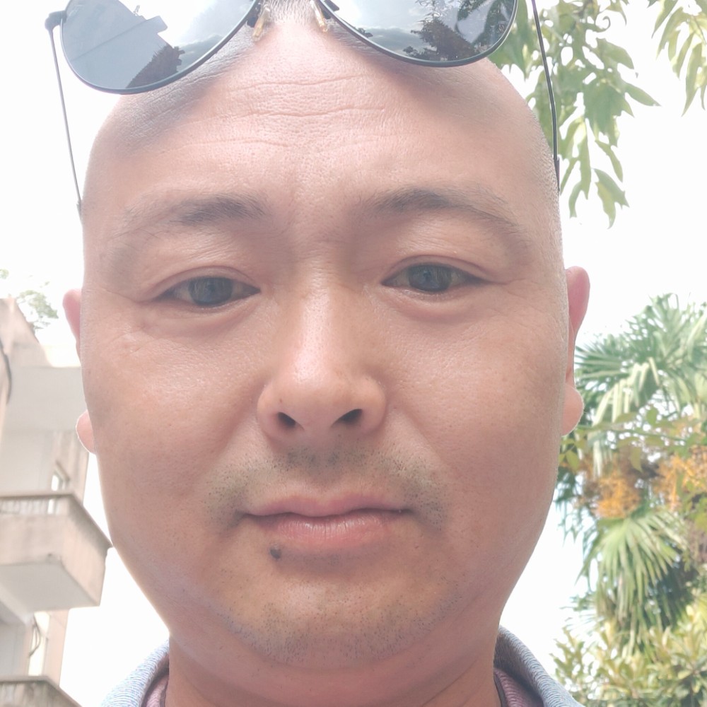 羽毛尊敬的照片