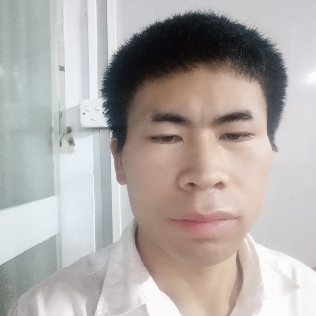 从容漫步红玫瑰的照片