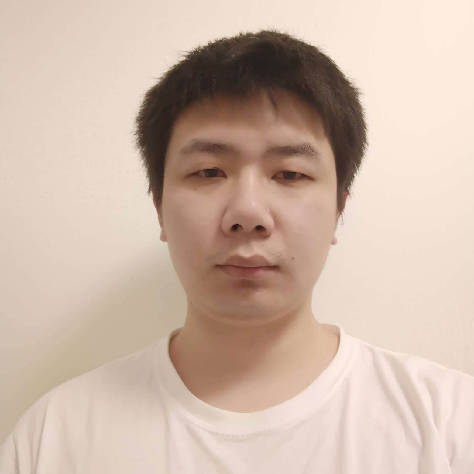 美丽的黄昏的照片