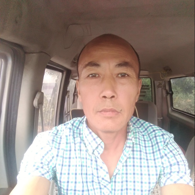 草丛危机的照片